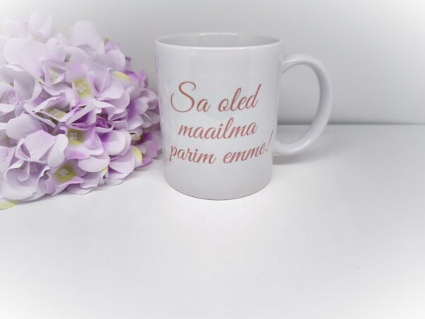 EMA TASS - Image 2